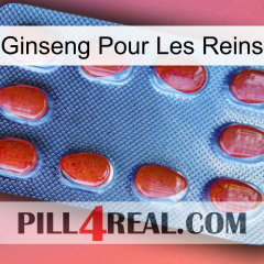Ginseng For Kidney 06